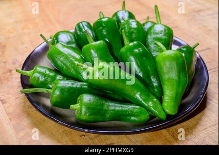 Pementos doux au poivre de padron vert frais, prêts à griller ou à frire avec de l'huile d'olive, en-cas traditionnel en Galice, Espagne. Banque D'Images