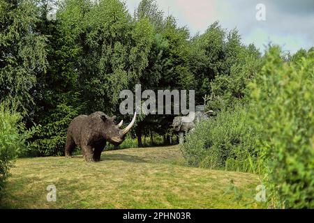 Parc dinozaurów W Łebie W północnej Polsce nad morzem Bałtyckim. Banque D'Images