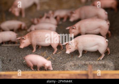 Animaux de ferme miniatures de porcs Banque D'Images