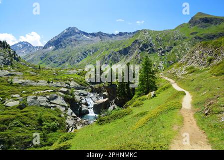 Parc national de Gran Paradiso. Sentier de randonnée dans la Valle di Bardoney, vallée d'Aoste, Italie. Magnifique paysage de montagne par beau temps. Banque D'Images