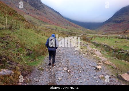 Man (Hiker) marcher sur le chemin d'Esk Hause via Stockley Bridge à Scafell Pike de Seathwaite à Borrowdale dans le parc national de Lake District, Royaume-Uni. Banque D'Images