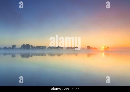 Rivière Elbe couverte de brume à l'aube / lever du soleil à la Réserve de biosphère de la vallée de l'Elbe en Basse-Saxe en été, Basse-Saxe / Niedersachsen, Allemagne Banque D'Images