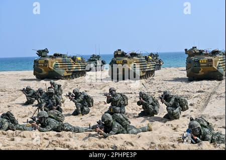 Pohang, Corée du Sud. 29th mars 2023. Les marines sud-coréennes visent des armes lors d'un exercice d'atterrissage sur la plage à Pohang, en Corée du Sud, sur 29 mars 2023. Les États-Unis et la Corée du Sud tiennent pour la première fois en cinq ans l'exercice d'assaut amphibie de Ssangyong, alors que la Corée du Nord est de plus en plus menacée. Photo de Thomas Maresca/UPI crédit: UPI/Alay Live News Banque D'Images