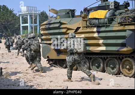 Pohang, Corée du Sud. 29th mars 2023. Des marines sud-coréennes traversent la plage lors d'un exercice d'atterrissage à Pohang, en Corée du Sud, sur 29 mars 2023. Les États-Unis et la Corée du Sud tiennent pour la première fois en cinq ans l'exercice d'assaut amphibie de Ssangyong, alors que la Corée du Nord est de plus en plus menacée. Photo de Thomas Maresca/UPI crédit: UPI/Alay Live News Banque D'Images