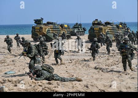 Pohang, Corée du Sud. 29th mars 2023. Des marines sud-coréennes traversent la plage lors d'un exercice d'atterrissage à Pohang, en Corée du Sud, sur 29 mars 2023. Les États-Unis et la Corée du Sud tiennent pour la première fois en cinq ans l'exercice d'assaut amphibie de Ssangyong, alors que la Corée du Nord est de plus en plus menacée. Photo de Thomas Maresca/UPI crédit: UPI/Alay Live News Banque D'Images