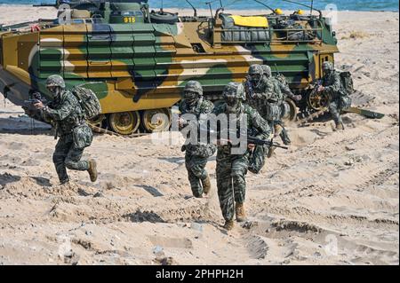 Pohang, Corée du Sud. 29th mars 2023. Des marines sud-coréennes traversent la plage lors d'un exercice d'atterrissage à Pohang, en Corée du Sud, sur 29 mars 2023. Les États-Unis et la Corée du Sud tiennent pour la première fois en cinq ans l'exercice d'assaut amphibie de Ssangyong, alors que la Corée du Nord est de plus en plus menacée. Photo de Thomas Maresca/UPI crédit: UPI/Alay Live News Banque D'Images
