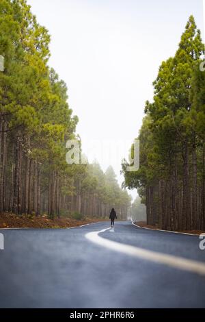 Vue imprenable sur une fille qui marche sur une route qui traverse une belle forêt. Pico de las Nieves, Grande Canarie, îles Canaries. Banque D'Images