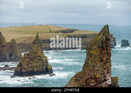 Les piles de Duncansby. Duncansby Sea Stacks près de John O Groats, Écosse Banque D'Images