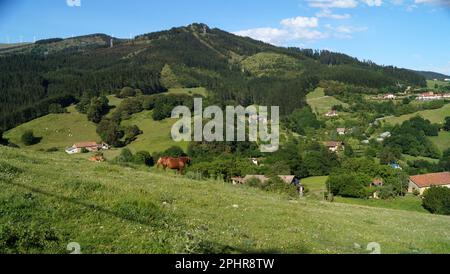 Paysage avec une baie de chevaux paître sur le flanc verdant de montagne parmi les villages du pays Basque, Espagne Banque D'Images