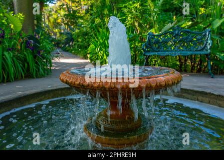 Fontaine des jardins de Giardini la Mortella à Ischia, Italie. Banque D'Images