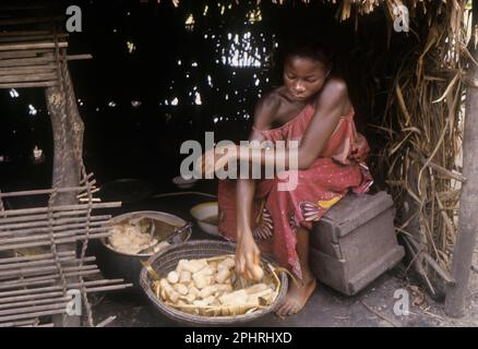 Fille ou groupe ethnique Libinza pariant manioc. . Afrique, République démocratique du Congo, région du fleuve Ngiri. Banque D'Images