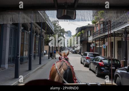 La voiture à la Nouvelle-Orléans, Louisiane. La calèche est dans la vieille rue Banque D'Images