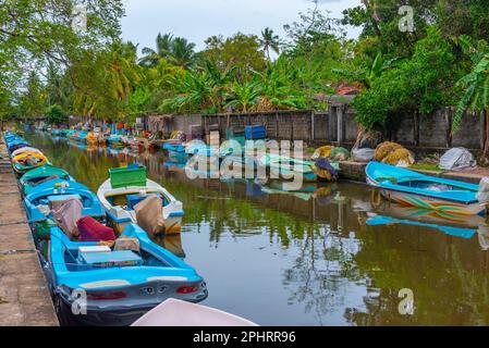 Des bateaux colorés amarrés au canal hollandais de Negombo, Sri Lanka. Banque D'Images