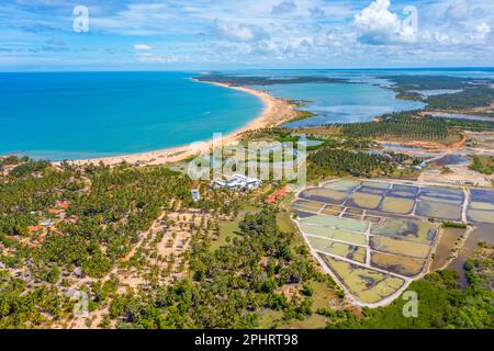 Vue aérienne des champs agricoles négligés par les éoliennes à Kalpitiya au Sri Lanka. Banque D'Images