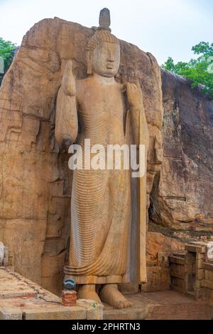 Statue de bouddha Aukana au Sri Lanka. Banque D'Images