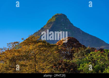 Le sommet d'Adam surplombe les montagnes du Sri Lanka. Banque D'Images