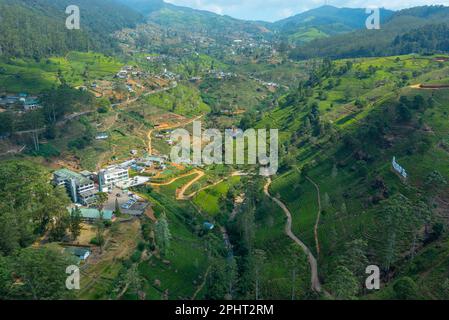 Vue panoramique sur le domaine de thé Mackwoods au Sri Lanka. Banque D'Images