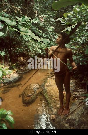 Venezuela.Jeune chasseur du groupe ethnique Hoti avec lance dans la forêt tropicale. Les Hoti vivent dans les forêts tropicales au pied de la Sierra de Maigualida. Ce sont des chasseurs-cueilleurs semi-nomades et des horticulteurs sur brûlis. Banque D'Images