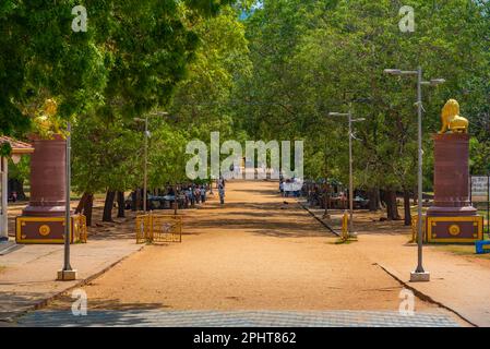 Kataragama représente un important lieu de pèlerinage au Sri Lanka pour les bouddhistes, les hindous, les musulmans et les Veddah. Banque D'Images