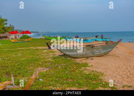 Bateaux de pêche à la plage de Marakolliya, Sri Lanka. Banque D'Images