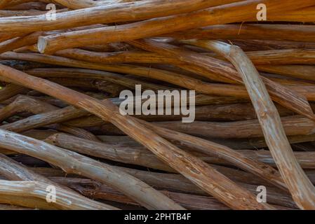 La cannelle étant séchée pendant la production, Sri Lanka. Banque D'Images