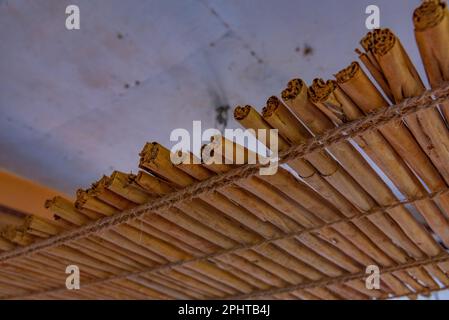 La cannelle étant séchée pendant la production, Sri Lanka. Banque D'Images