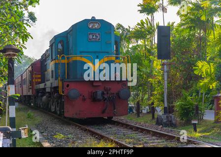 Train passant un passage à niveau à Bentota, Sri Lanka. Banque D'Images