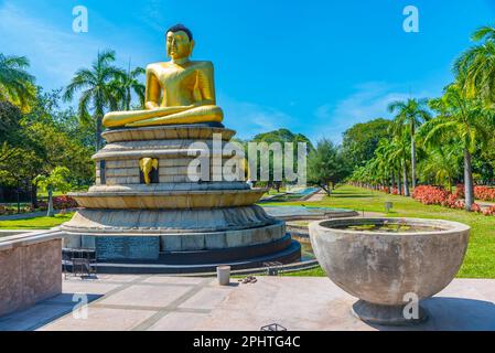 Statue de Bouddha devant le conseil municipal de Colombo au Sri Lanka. Banque D'Images