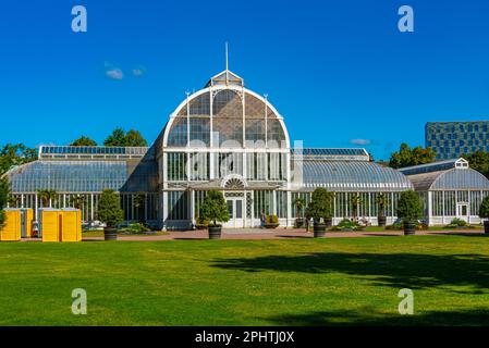 La serre de palmiers à la Garden Society de Göteborg en Suède. Banque D'Images