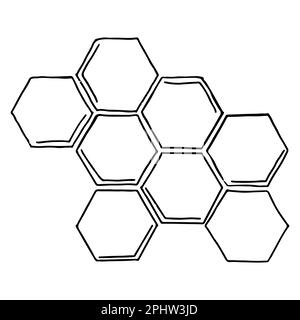 Motif nid d'abeille en forme de caniche dessinée à la main. Illustration vectorielle isolée sur fond blanc Illustration de Vecteur