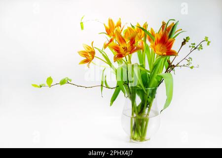 Bouquet de tulipe orange avec quelques branches de printemps dans un vase en verre sur fond très clair, carte de vœux de vacances pour Pâques ou fête des mères, copie Banque D'Images