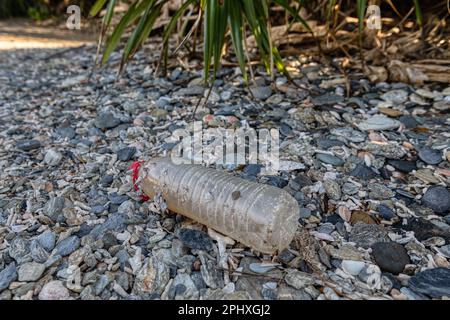 Pollution plastique - une bouteille d'eau en plastique avec des mollusques est lavée sur une plage à Okinawa, au Japon Banque D'Images