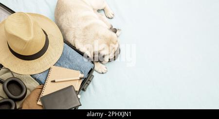Un chien beige se trouve tristement près d'une valise avec des vêtements, attendant que les propriétaires partent en vacances ou en voyage. Bannière Web, espace de copie Banque D'Images