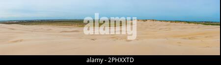 Dunes de sable de Råbjerg Mile au Danemark. Banque D'Images