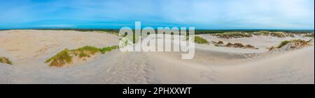 Dunes de sable de Råbjerg Mile au Danemark. Banque D'Images