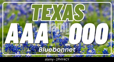 Plaques d'immatriculation de véhicule au Texas aux États-Unis d'Amérique, plaques de voiture. Numéros de permis de conduire de différents États américains. Imprimé vintage pour les motifs, autocollants et affiches de tee-shirts Banque D'Images