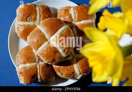 croiser les petits pains chauds sur une plaque blanche sur fond bleu avec des jonquilles jaunes Banque D'Images