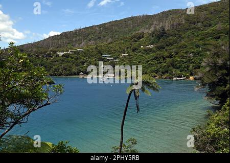 Vue de Punga Cove, Endeavour Inlet, depuis le Queen Charlotte Track. Les marcheurs commençant à Ship Cove atteignent généralement ce point la nuit deux de leur randonnée. Banque D'Images