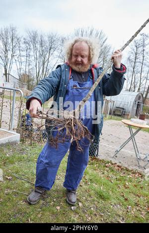 Rosengarten Ehestorf, Allemagne. 30th mars 2023. Eckart Brandt, ancien producteur et auteur de fruits, prunise un jeune arbre de la variété 'Holländer Prinz' lors d'un événement de presse pour la plantation de la pomme de l'année 2023 au Freilichtmuseum am Kiekeberg. Le 'Holländer Prinz' est une variété de pomme qui a probablement été apportée à l'origine en Allemagne du nord par des colons hollandais. Credit: Georg Wendt/dpa/Alay Live News Banque D'Images