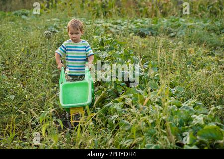 Un enfant avec une brouette en peluche dans un champ de fermier. Petit garçon blond avec une brouette dans un jardin domestique. Aide pour petit garçon Banque D'Images