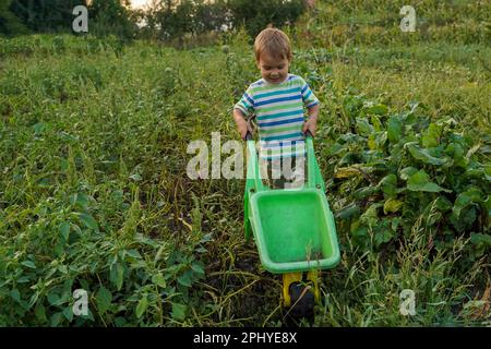 Un petit garçon s'amusant à la ferme en été. Petit garçon blond avec une brouette dans un jardin domestique. Aide pour petit garçon Banque D'Images