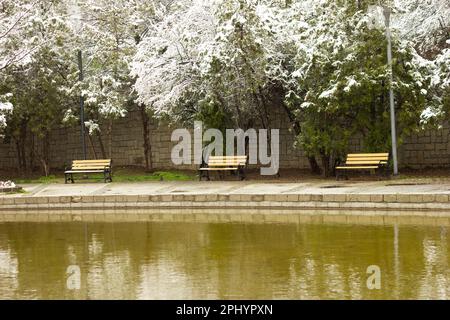 Bancs sous des arbres enneigés. lieu de repos près de l'étang ornemental. Banque D'Images
