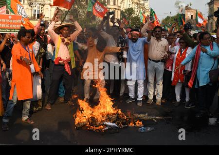 Kolkata, Inde. 29th mars 2023. (3/29/2023) les militants du parti au pouvoir en Inde, le Parti Bharatiya Janata (BJP), ont protesté à Kolkata pour manifester contre les suicides d'agriculteurs dans tout l'État, exigeant des prix rémunérateurs plus élevés pour les pommes de terre et autres cultures et contre le marché noir des engrais. (Photo de Sayantan Chakraborty/Pacific Press/Sipa USA) crédit: SIPA USA/Alay Live News Banque D'Images