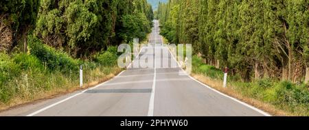 Format bannière vue de la célèbre route bordée de cyprès menant à l'ancien village de Bolgheri, Italie Banque D'Images