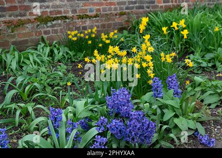 Eton, Windsor, Berkshire, Royaume-Uni. 30th mars 2023. Bien que le temps ait été un sac mixte de douches et de soleil aujourd'hui, les terrains de l'Eton College ont l'air joli comme beaucoup de fleurs de printemps sont en fleur. Crédit : Maureen McLean/Alay Live News Banque D'Images