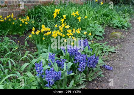 Eton, Windsor, Berkshire, Royaume-Uni. 30th mars 2023. Bien que le temps ait été un sac mixte de douches et de soleil aujourd'hui, les terrains de l'Eton College ont l'air joli comme beaucoup de fleurs de printemps sont en fleur. Crédit : Maureen McLean/Alay Live News Banque D'Images