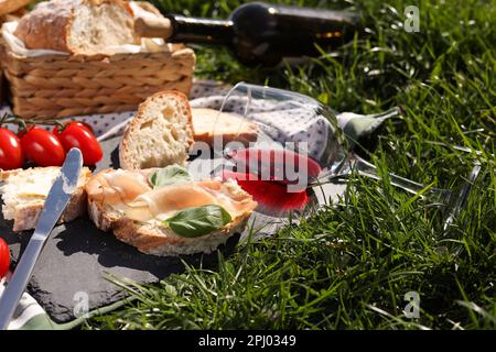 Couverture avec vin et en-cas pour pique-niquer sur l'herbe verte Banque D'Images