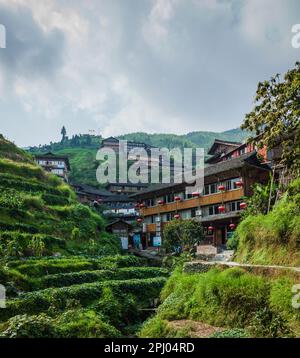 Chalets touristiques, Rice Terrace, Dragon's Backbone, Longji, Chine Banque D'Images