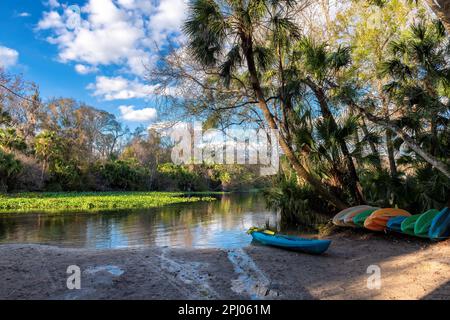 Canoës dans le lac entouré d'arbres tropicaux au coucher du soleil Banque D'Images