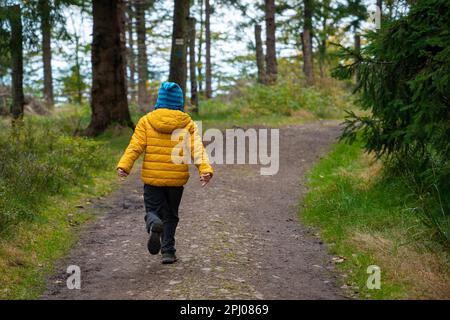 Un enfant heureux court sur un sentier de montagne. Montagnes polonaises Banque D'Images